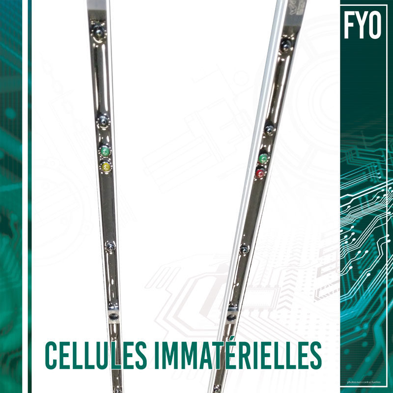 Cellules immatérielles (FYO)