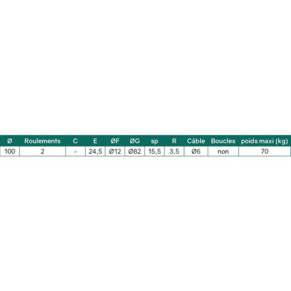ROUE NYLON 1 RLS Ø100  POUR CORDE Ø 6 – Image 3
